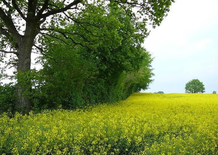Hotel Gammelby Eckernförde